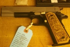 DTPistol1