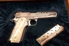 Pistol2